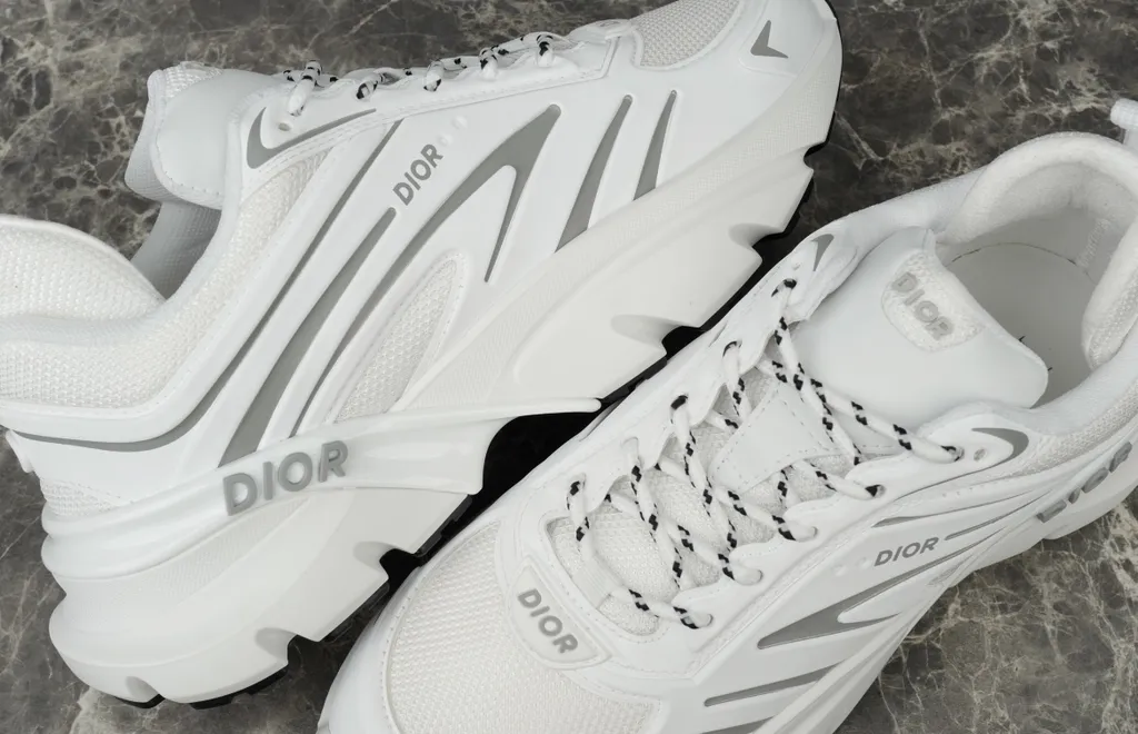 Dior Shoe 